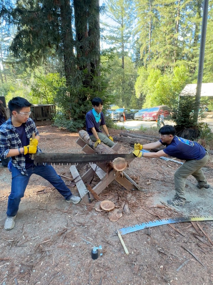 2 Person Bucksaw ! How long is this going to take ? 🪚🌲