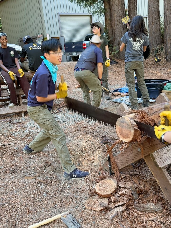 2 Person Bucksaw ! How long is this going to take ? 🪚🌲